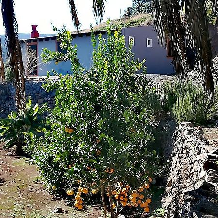 Вілла Casa La Montana El Cedro Екстер'єр фото