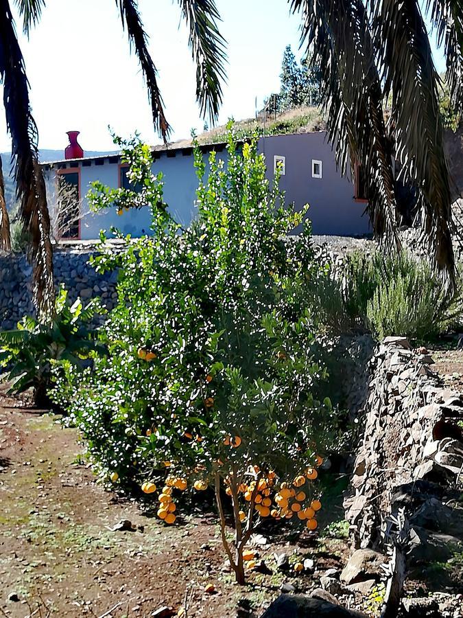 Вілла Casa La Montana El Cedro Екстер'єр фото